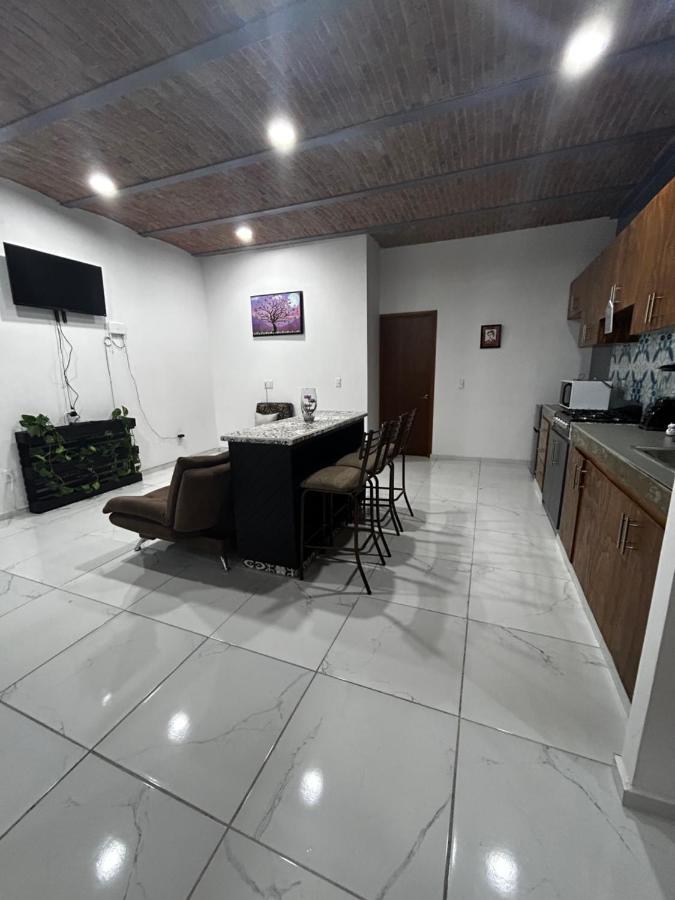 Apartmán Departamentos Colibri Y Tortuga Chapala Exteriér fotografie